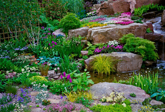 Alpine and rockery Garden with waterfall