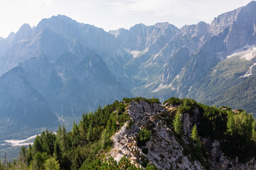 Herd of sheep on unique rugged rock formation near mountain peak Jof di Miezegnot surrounded by...