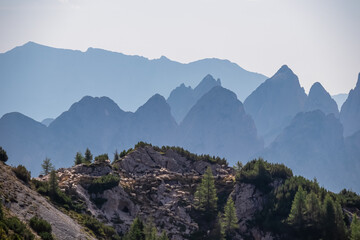 Herd of sheep on unique rugged rock formation near mountain peak Jof di Miezegnot surrounded by...