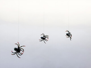 Minimalist Halloween decor with plastic spiders suspended on invisible threads against a white backdrop.