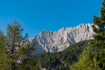 Scenic view of mountain peak Jof di Montasio surrounded by coniferous forest. Majestic ridges of...