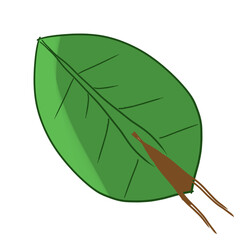 leaf vector with green gradiend and brown 