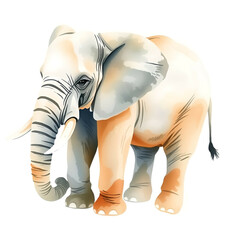 Watercolor Painting of an Elephant