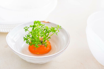 リポベジ　人参