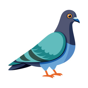 Print pigeon bird vector
