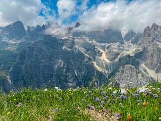 Meadow with vibrant wildflowers looking at cloud covered rugged mountain peaks of majestic Brenta Dolomites, Trentino, Italy. Wanderlust in alpine wilderness. Hiking in pristine Italian Alps in summer