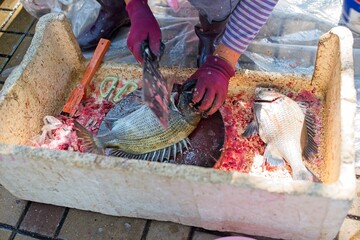 Fish Preparation at a Market