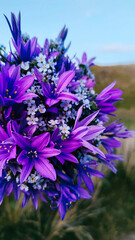 Fototapeta premium Beautiful spring purple flowers collected in a bouquet.