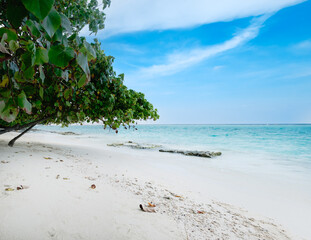 White sand sea beach with green tropical trees, water and blue sky in sunny day. Seascape scenery of paradise island with empty beach, idyllic lagoon and tranquil tropics landscape for vacation