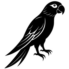 Fototapeta premium bird on a branch