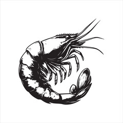 lobster on White background 