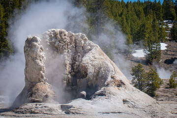 Geyser, Yellowstone National Park