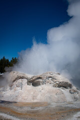 Grotto geyser, Yellowstone National Park