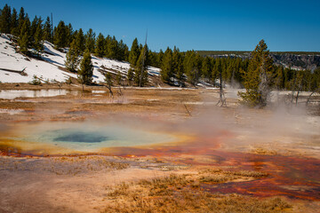 Hot spring, Yellowstone National Park