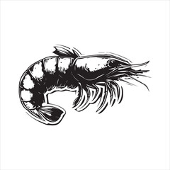 lobster on white background