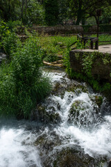 waterfall in the forest