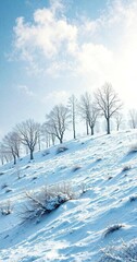 Obraz premium Winter scenery of a snowy hill with bare trees , landscape, forest