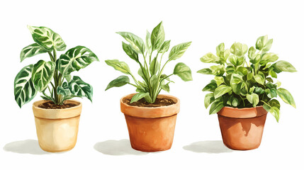 Obraz premium Illustration of houseplants in pots
