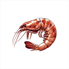 lobster on white background