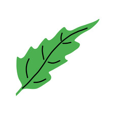 Green leaf sheet art illustration hand-drawn art