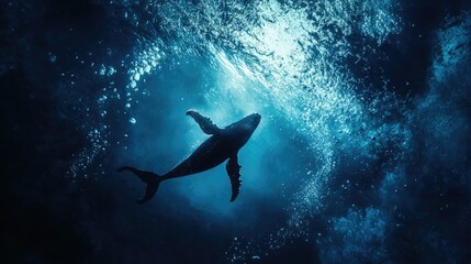 Fototapeta premium Crystal-clear ocean view of a humpback whale diving into a deep, dark blue expanse, leaving a trail of bubbles.