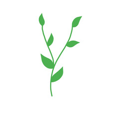 Branch with leaves illustration art
