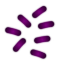 Gradient scattered capsule shape illustration art