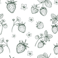 Strawberries, seamless pattern,  realistic sketches, vector illustrations, hand drawn, black outline on a transparent background