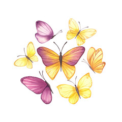 Collection of yellow and pink butterflies. Watercolor illustrations.