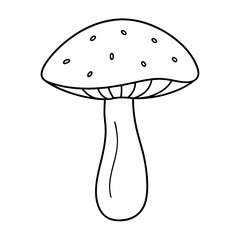illustration of mushroom