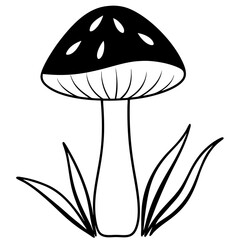 mushroom illustration