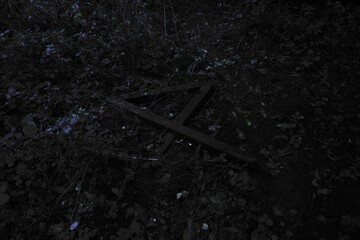 Wooden number four, Atmospheric Black Metal forest, dark spooky forest, horror mood