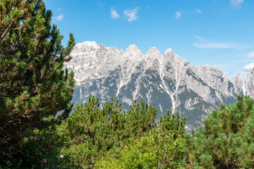 Conifer forest and shrub frames scenic view of pristine rugged mountain peaks of Western Julian...