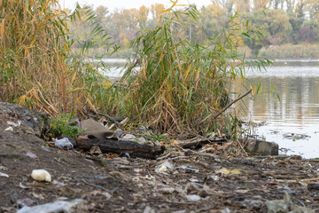 Garbage dump of rags rubber and cellophane in scattered in river. Plastic trash after picnic. People illegally throw rubbish. World ecology problem of environmental protection. Garbage in nature.
