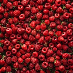 Raspberry berries texture background, Rubus idaeus fruits pattern, many red-fruited raspberries mockup
