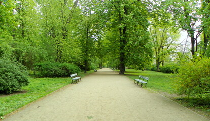 Poland, Warsaw, Saxon Garden, footpaths and nature in the park