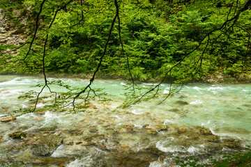 Beautiful Vintgar canyon in Slovenia