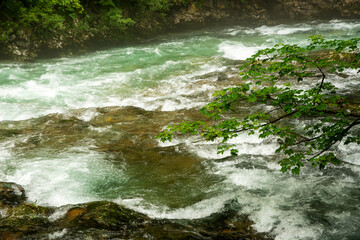 Beautiful Vintgar canyon in Slovenia
