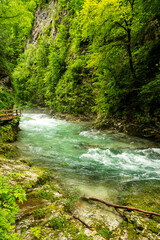 Beautiful Vintgar canyon in Slovenia