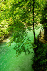 Beautiful Vintgar canyon in Slovenia