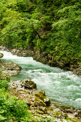 Beautiful Vintgar canyon in Slovenia