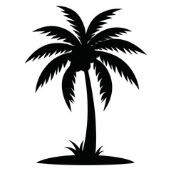 palm tree silhouette