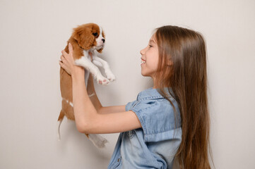 Girl tenderly holds small puppy of King Charles Spaniel in her arms, looking at him with joy and...