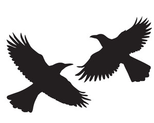 The bird's silhouette conveys a sense of freedom and elegance