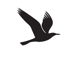 The bird's silhouette conveys a sense of freedom and elegance