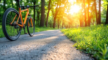 Sunset Bike Ride: A Serene Evening Cycle Through Lush Green Park Trails