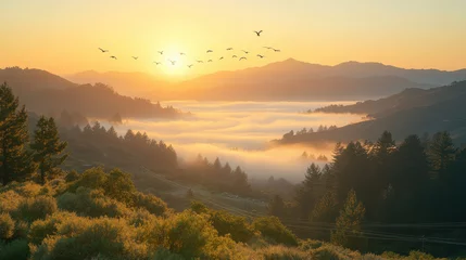 Peel and stick wall murals serene sunrise over misty valley with mountains and birds flying. calm morning light creates peaceful atmosphere in nature