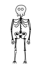 Hand-Drawn Skeleton Illustration. This illustration features a stylized, simplistic skeleton with a playful design, perfect for educational purposes.