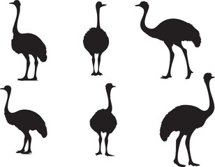 Creative Ostrich Vector Designs for Branding Projects
