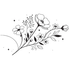 Minimal botanical graphic sketch drawing
